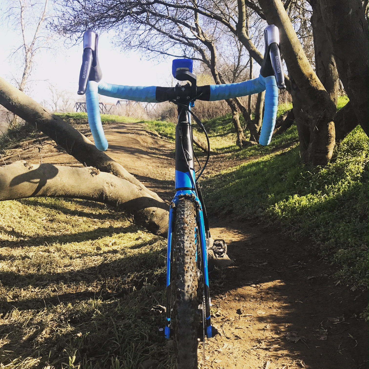 marin cortina cx pro